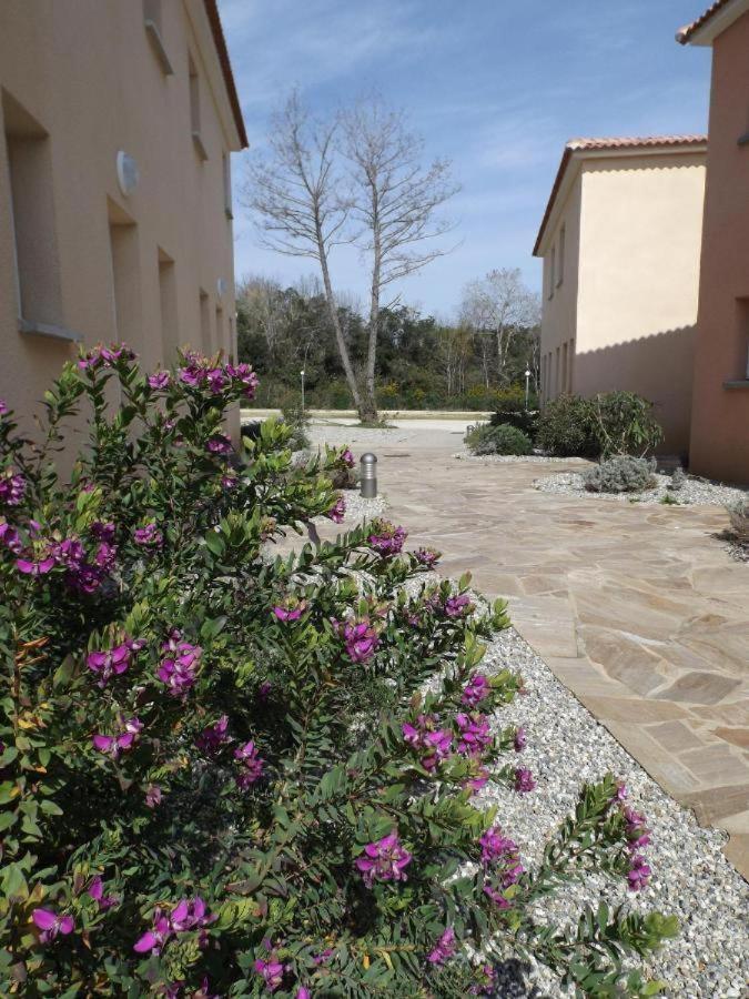 Nouvel Location D'Un Bel Appart T2 Climatise Et Meuble Au Rdch Avec Piscine Dans Residence Les Melody Santa-Maria-Poggio  Exterior foto